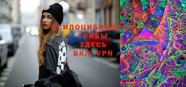 стаф Алексин