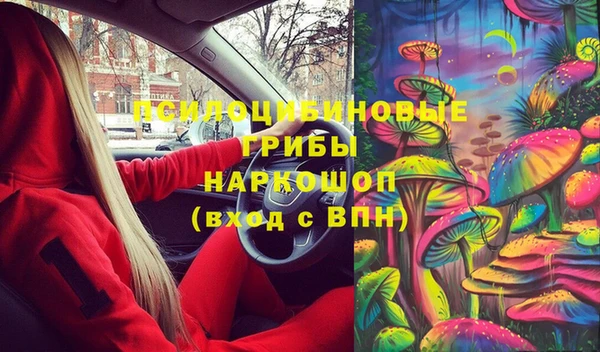 стаф Алексин