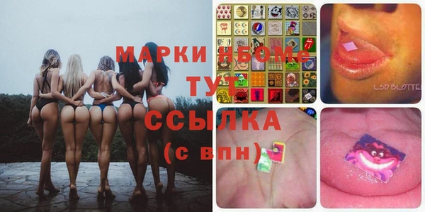 стаф Алексин