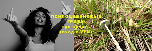 стаф Алексин