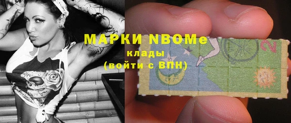 стаф Алексин