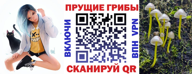 ссылка на мегу ТОР  Петрозаводск  Псилоцибиновые грибы GOLDEN TEACHER  цена  